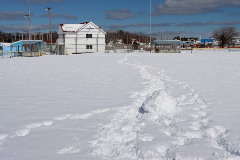 From snowballs to baseballs: the crack of the bat will be heard soon at the Lewes Little League fields, a harbinger of spring. This big snowball might have been a failed attempt at a snowman.